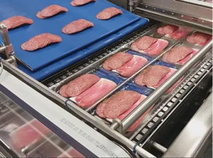 embaladora de bandejas horizontal