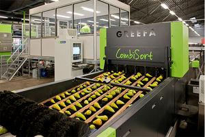 máquina classificadora para a indústria alimentícia