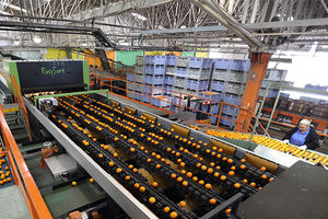 máquina classificadora para a indústria alimentícia