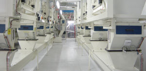 máquina de pesagem contínua
