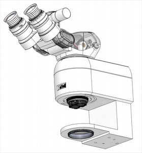 microscópio óptico