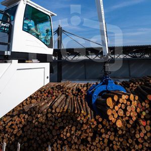 garra para grua florestal