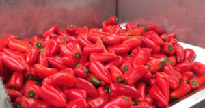 sistema de pesagem para a indústria alimentícia