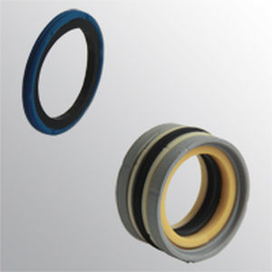 军政府的vedação通告