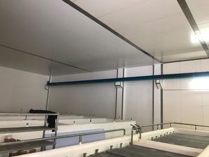 máquina de salmoura de queijo