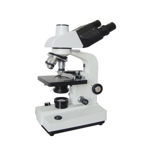 microscópio óptico
