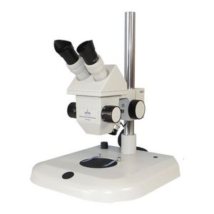 estereomicroscópio óptico