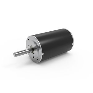motor com escovas 1