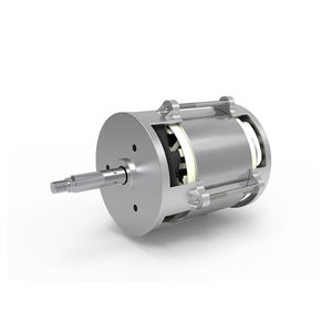 motor BLDC