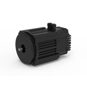 motor BLDC
