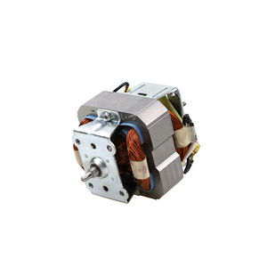 motor BLDC