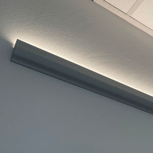 luz
