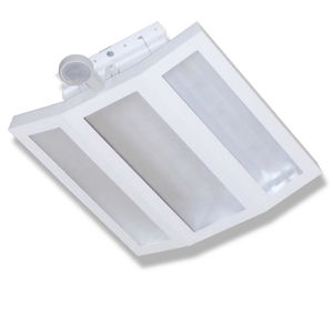 luz