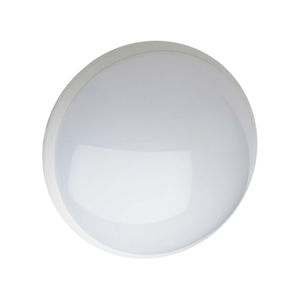 luz