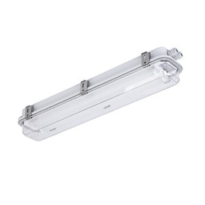 luz