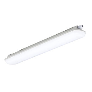 luz