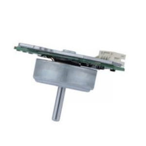 motor BLDC
