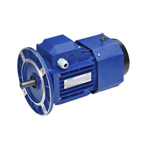 motor de indução
