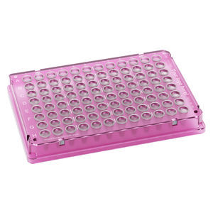 microplaca para PCR