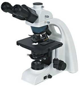 microscópio óptico
