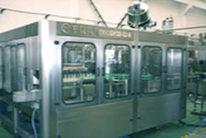 envasadora automática