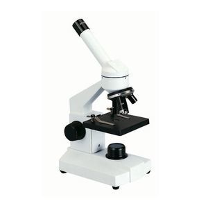 microscópio óptico