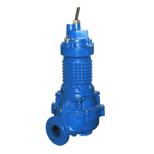 bomba de rotor 1