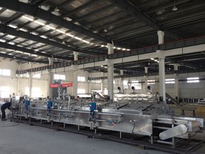 máquina de escaldagem para frutas e legumes
