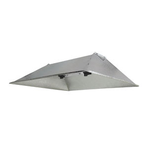 luz