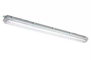 luz