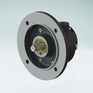 motor pneumático de palhetas 1