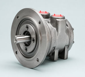 motor pneumático de palhetas 1