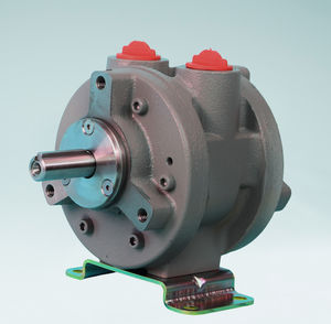 motor pneumático de palhetas 1