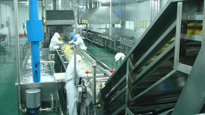 linha de processamento de frutas de lavagem
