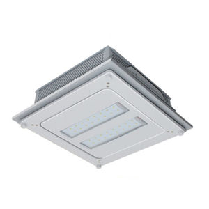 luz