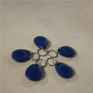 sistema de controle de acesso com leitor de proximidade 1
