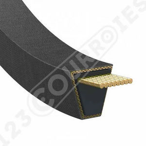 correia trapezoidal 1