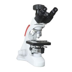 microscópio óptico
