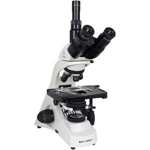 microscópio óptico