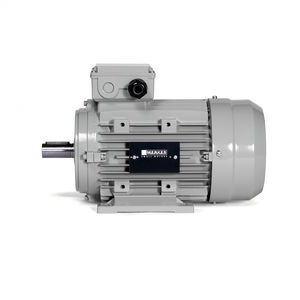 motor síncrono