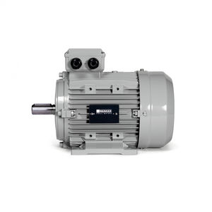 motor síncrono