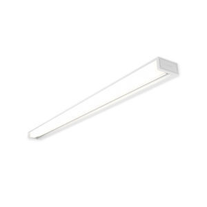 luz