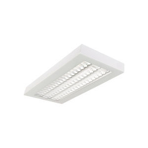 luz