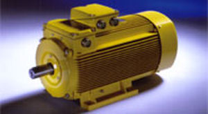 motor de indução 1