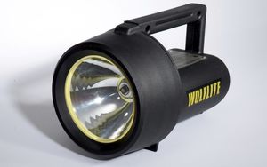 lanterna de LED / de inspeção / recarregável / ATEX