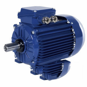 motor IE2 1