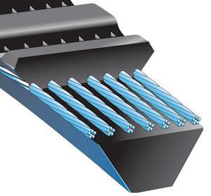 correia trapezoidal
