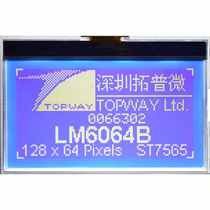 módulo de visualização LCD 1