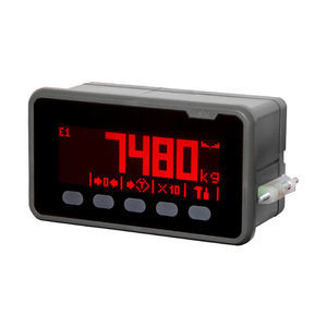 indicador digital de peso 1