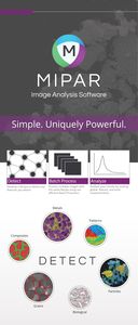 software de análise de imagens